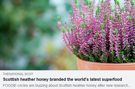 The National Article about Heather honey being the new super-food.